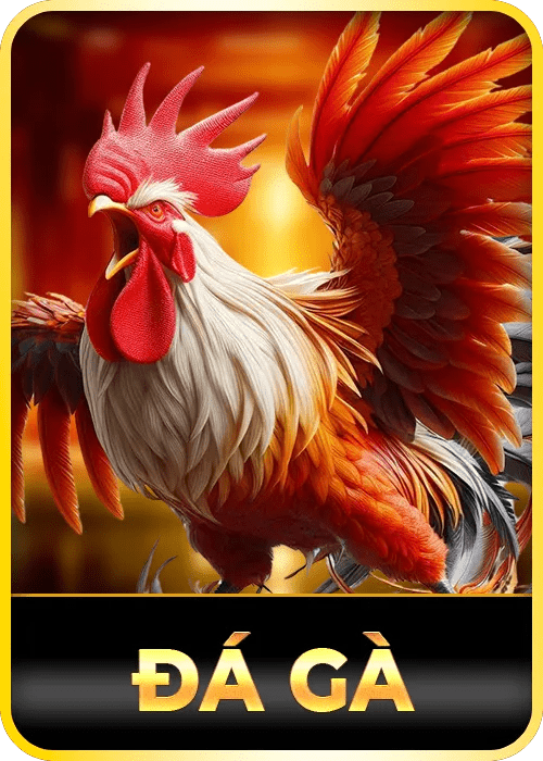 777king 5